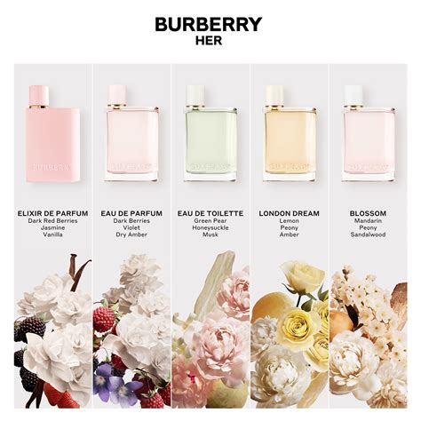 burberry her elixir travel spray|burberry her perfume for women.